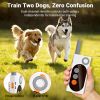Dog Shock Collar with Remote Control â€“ 3 Training Modes with Custom Voice, Dual Dog Support